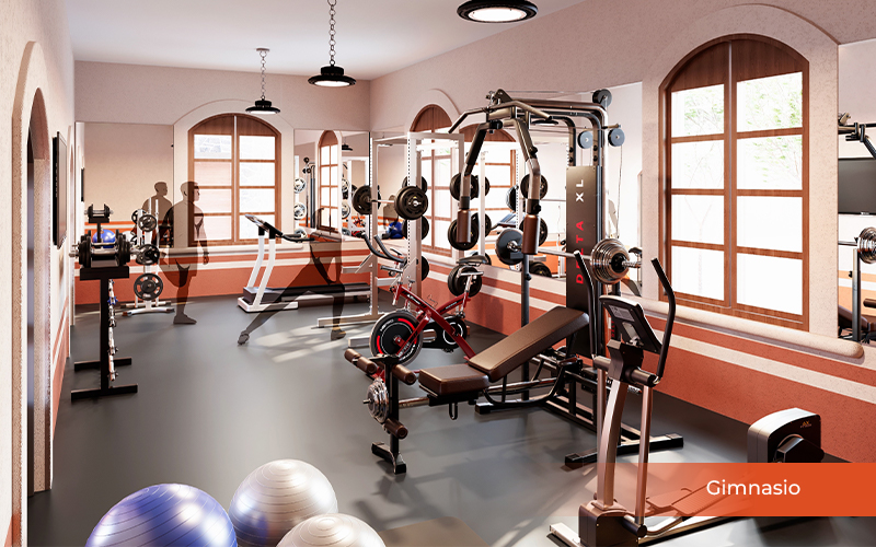 Gimnasio-4